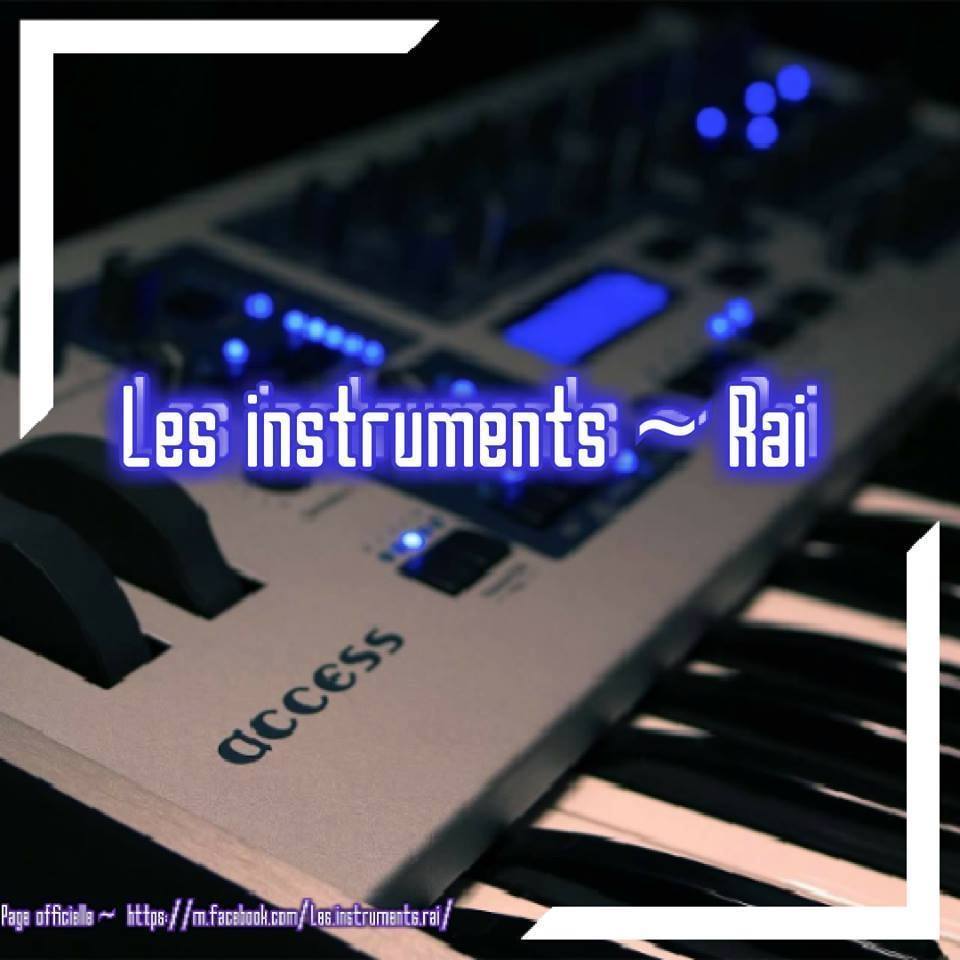 Les Instruments rai