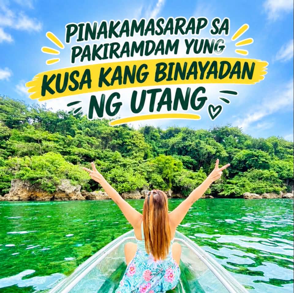 Available po ngayon👇 Tri color gumamela👈 Vilolet milflores👈 Yellow ...