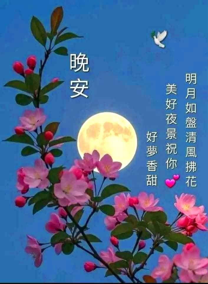 友友晚安安~吉祥如意~週末夜安🥰 ️ ️😴 | Facebook