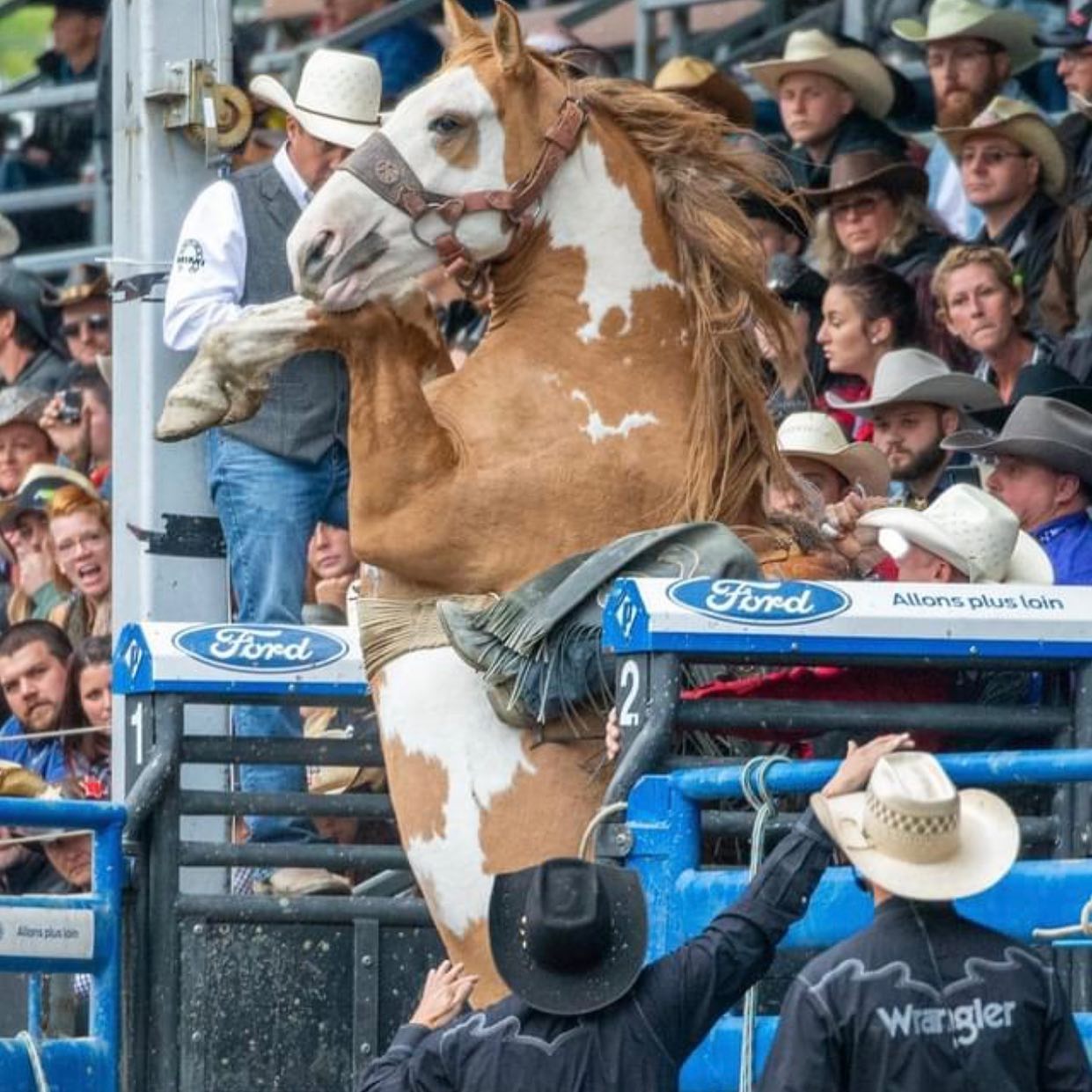 Gardiner Rodeo | Gardiner MT