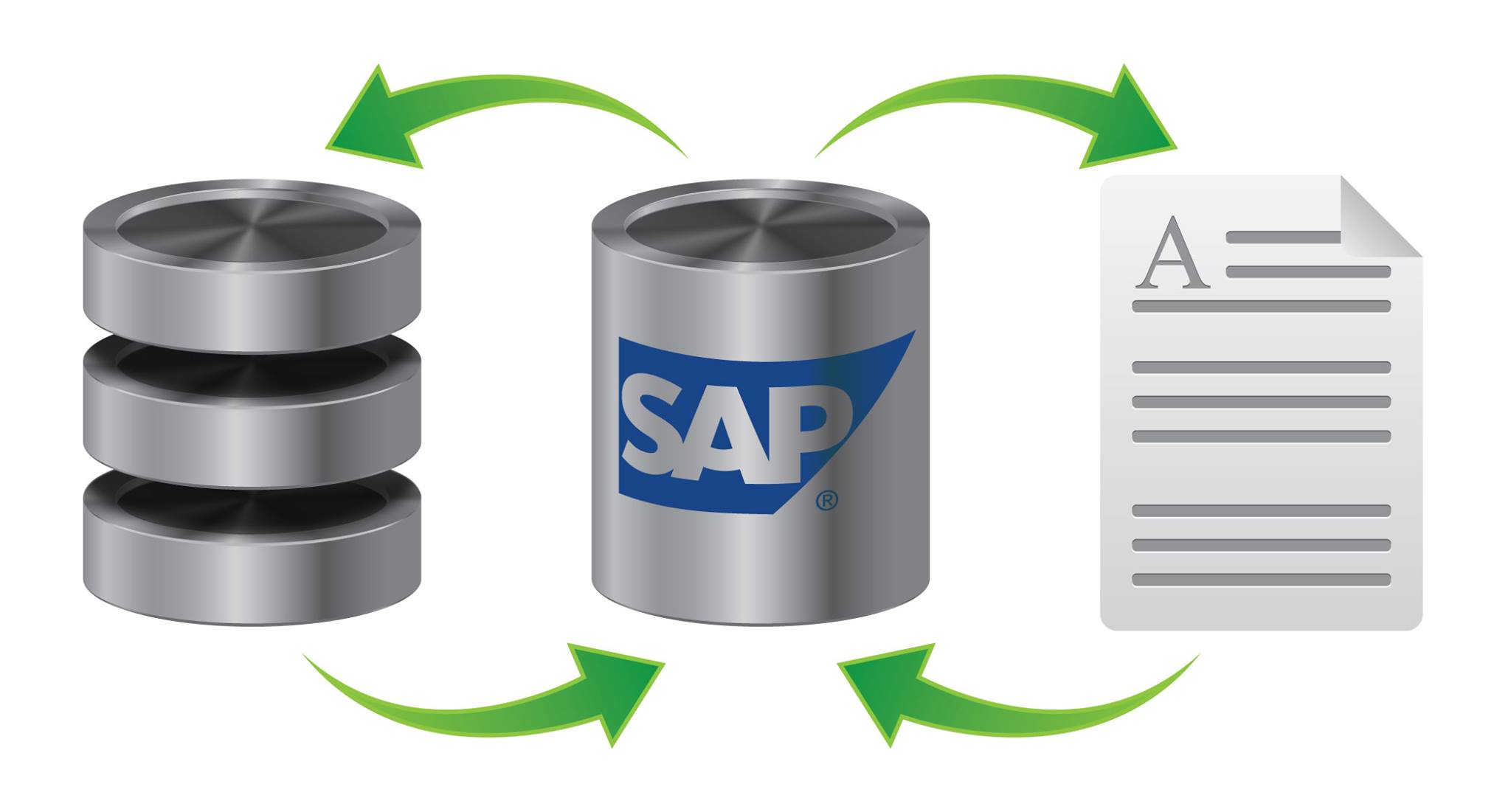 SAP ABAP คณะ IST มหานคร