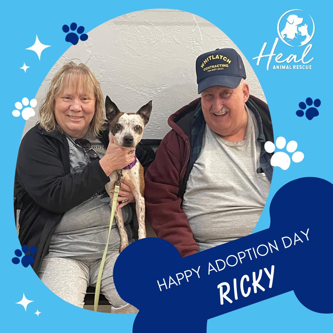 Congratulations to Ricky and his new... - Heal Animal Rescue | Facebook