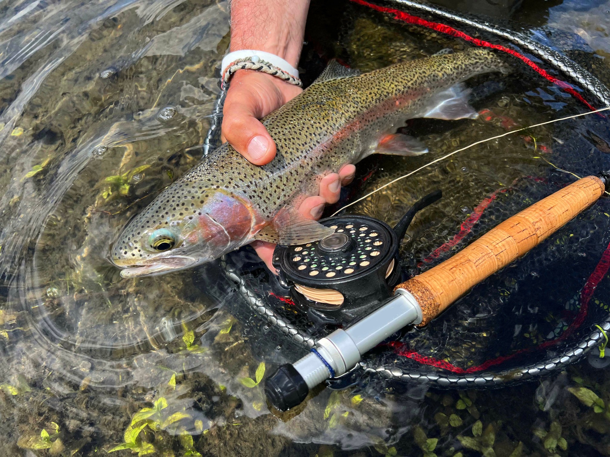 abel super 12w fly reel - 10 Action Type::Heavy horizontal rod holder Ghosthorn Spinning Reel Freshwater