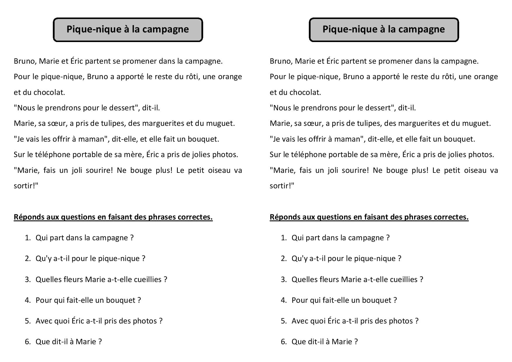 Compréhension De Lecture 4e Année Pdf Gratuit