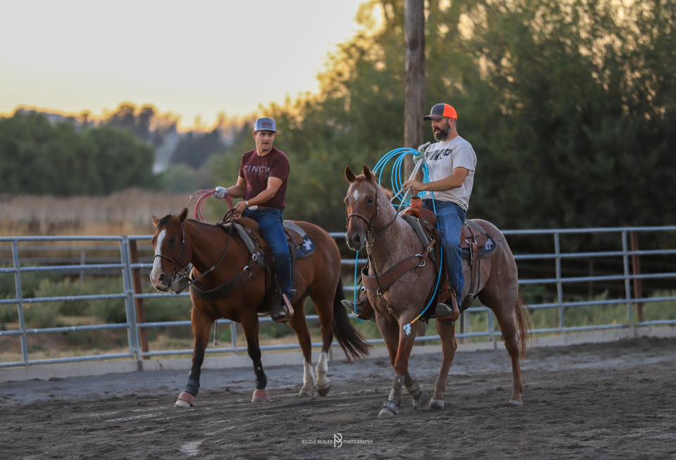 California rope horse trade / sale | Facebook
