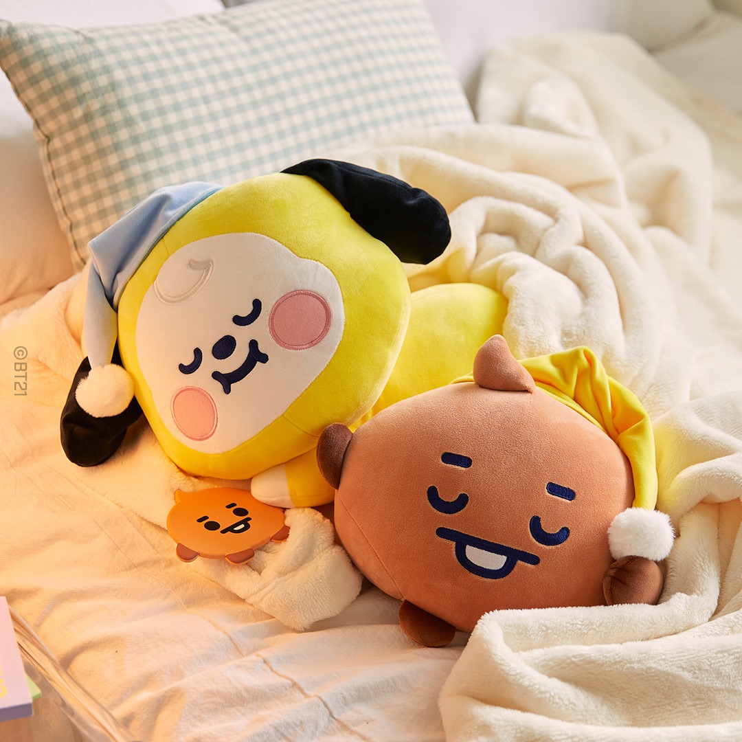 Warm & cozy cuddles are exactly what we need 😴 BT21 A Dream Of