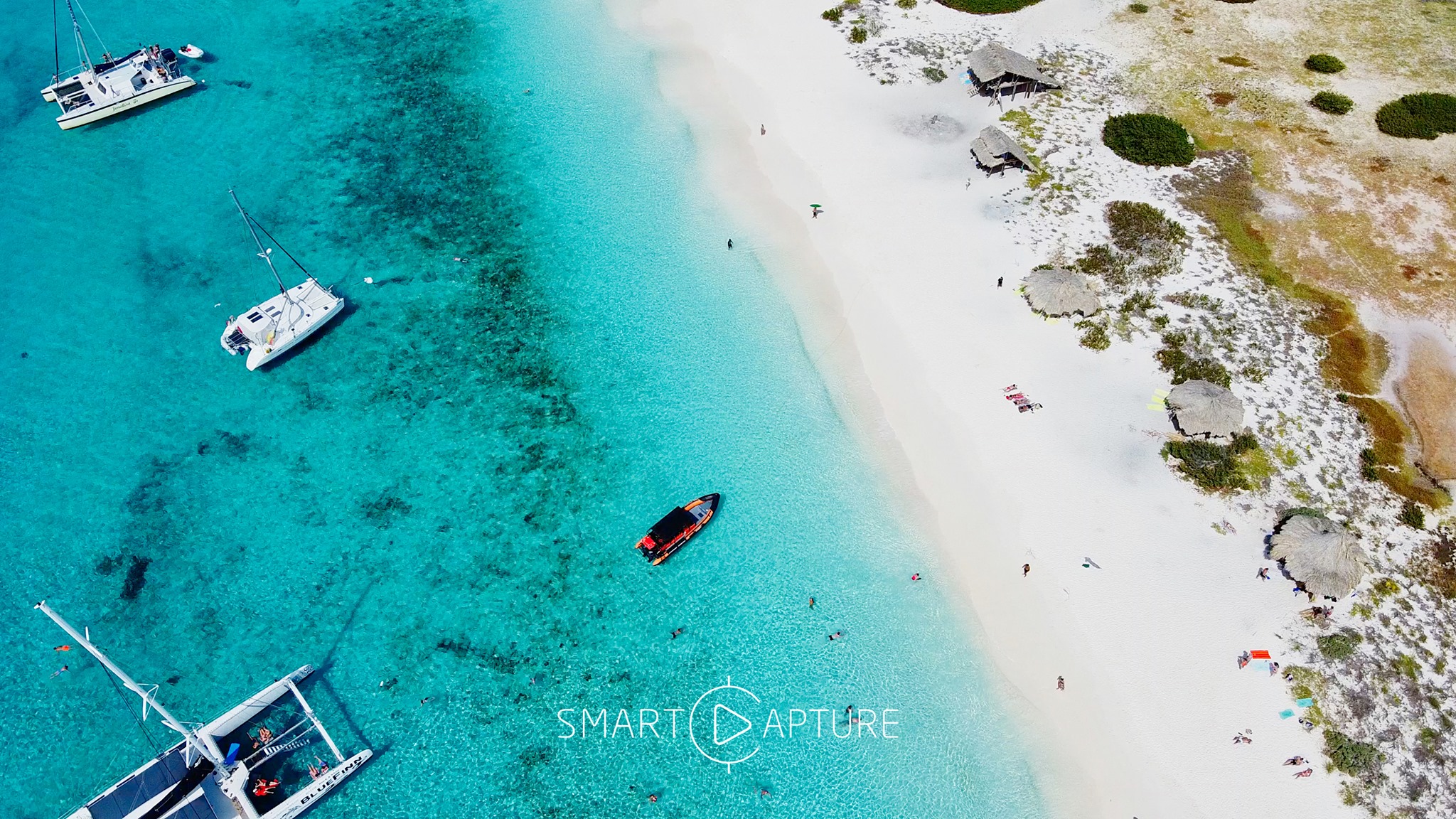 Today, we celebrate our harvest in Curaçao with the Harvest Parade 2024 ...