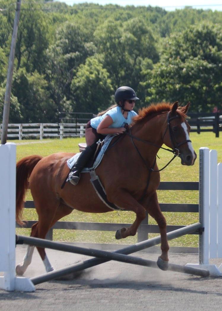 Foxtale Farm | Oley PA