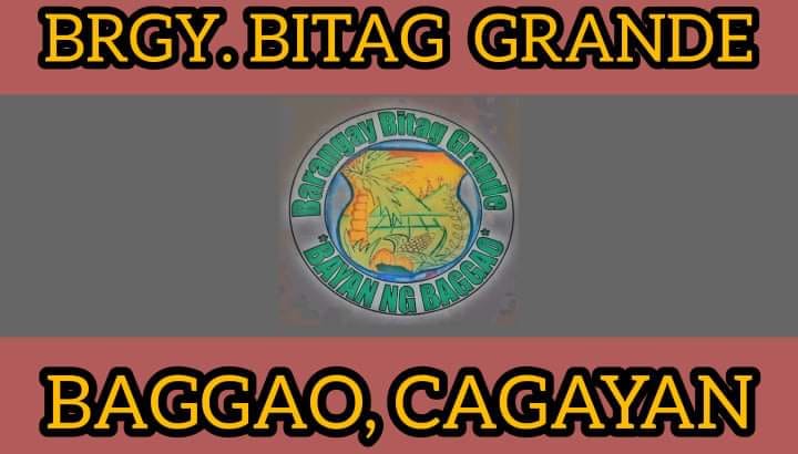 Barangay Bitag Grande Information Office