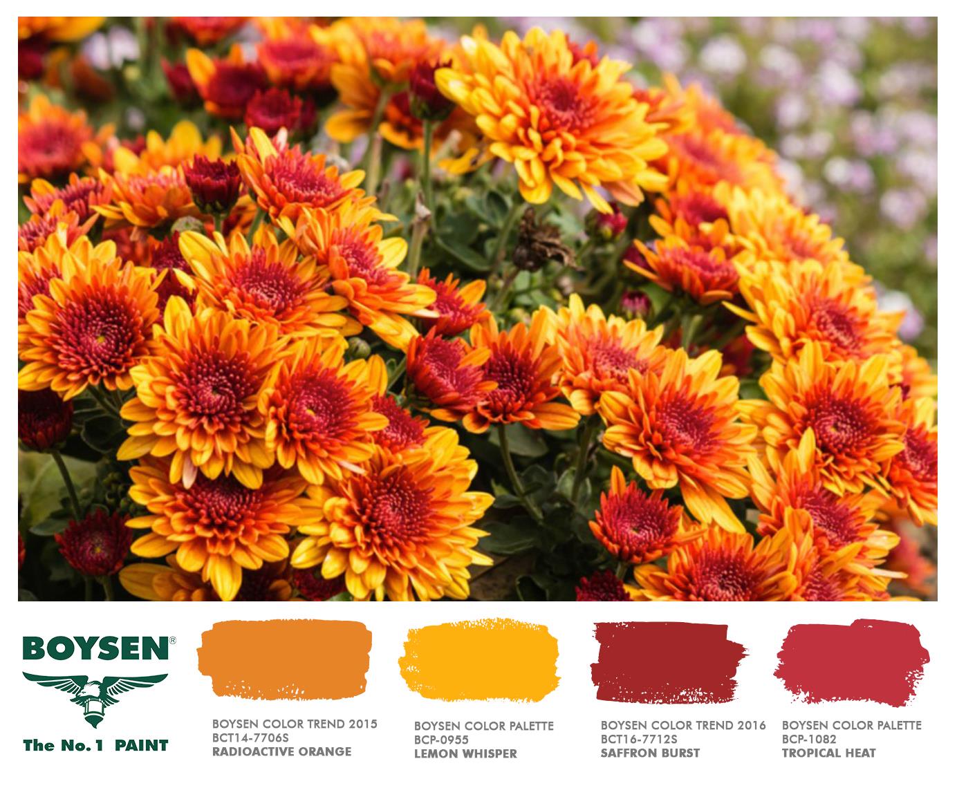 Boysen Paints Philippines - Derived from the Greek words “Chrysos ...