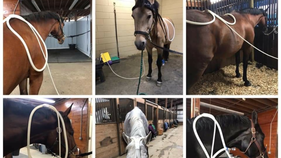 Western Riding Lessons-Bringing Horses and People Together added a new ...