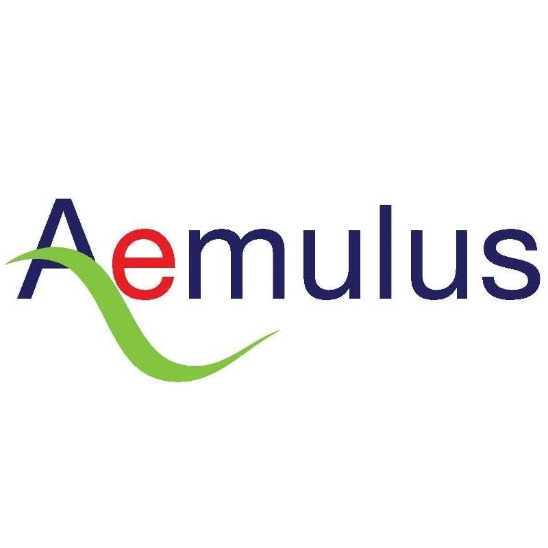 Aemulus Corporation Sdn Bhd... - Aemulus Corporation Sdn Bhd