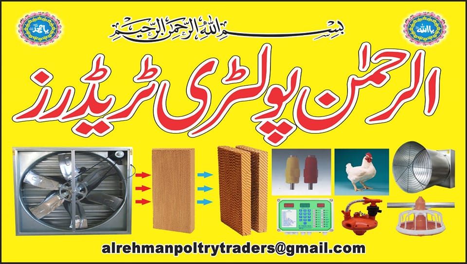 Al Rahman poultry trader