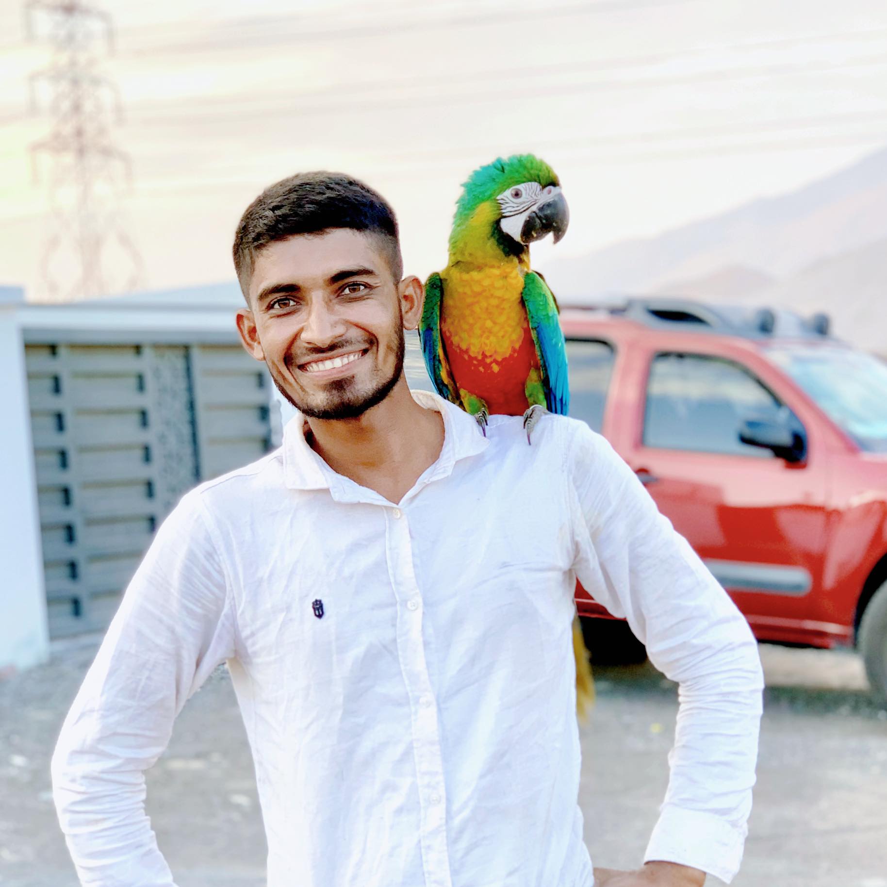 Sheikh Riad