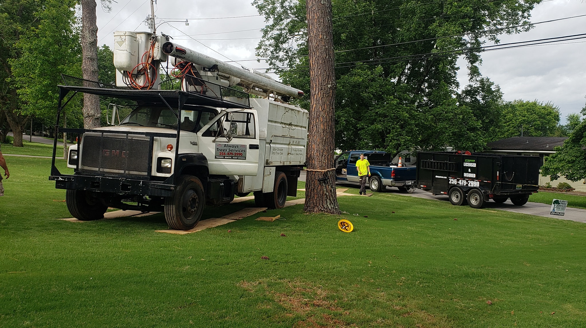 Always Trees LLC | New Market AL