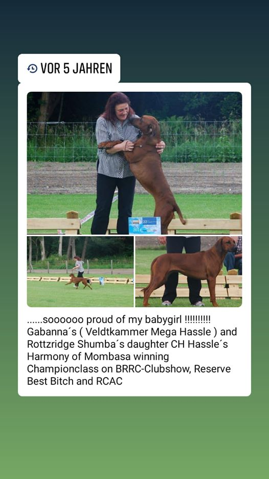 Rhodesian Ridgeback Kennel of Mombasa - Kwelanga