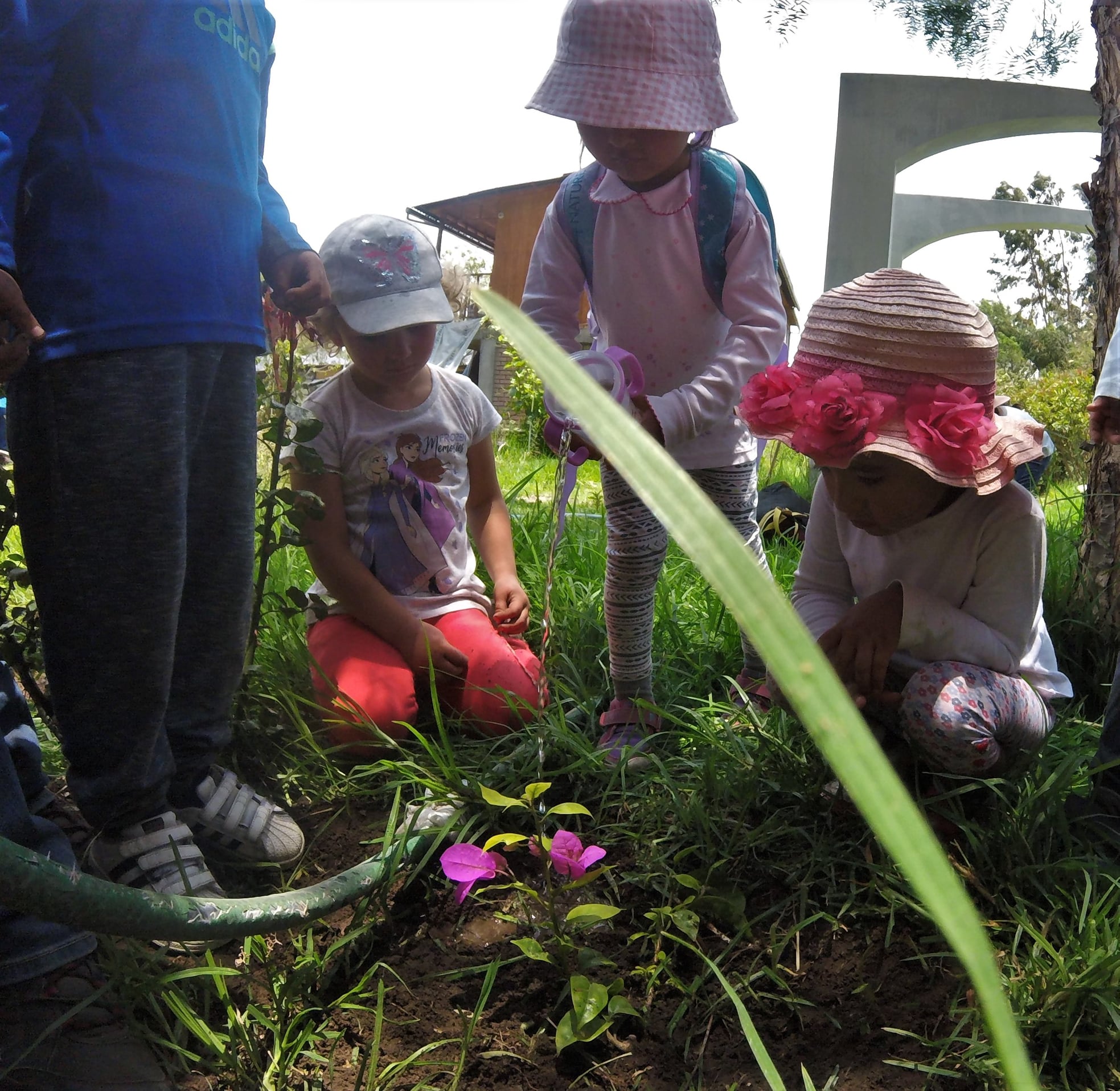 Actividades al aire libre, Naturaleza y Niños en Arequipa