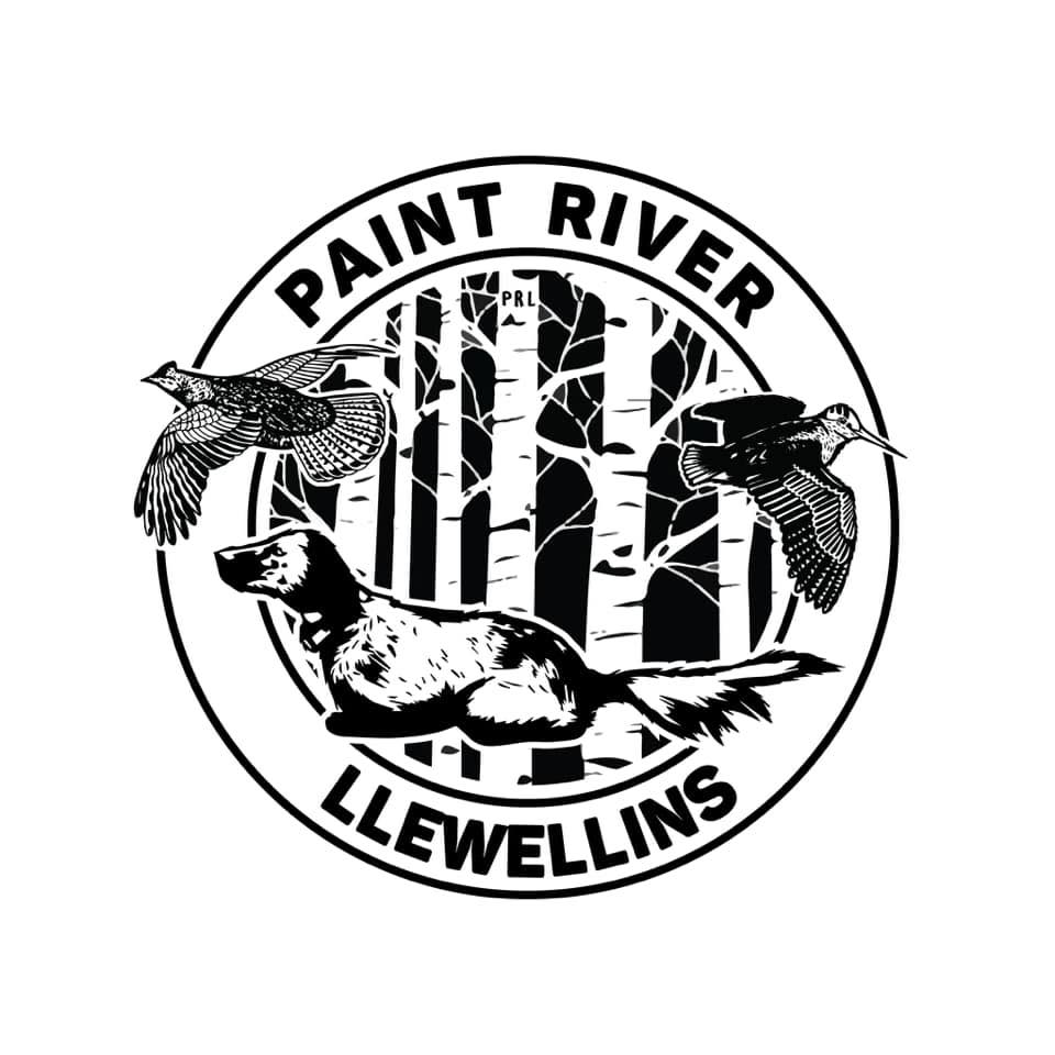 Northwoods din-din….. grrrrrouse 😋 - Paint River Llewellins | Facebook
