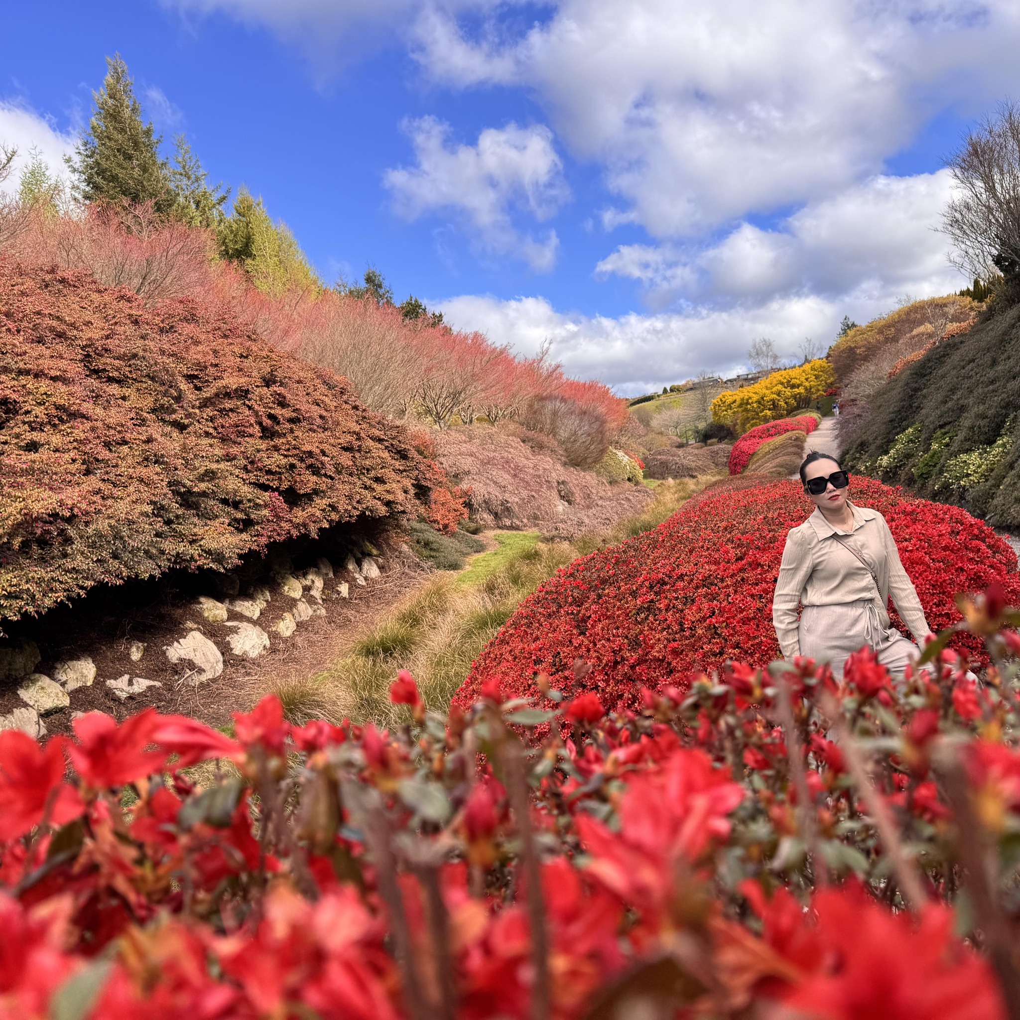 But ofcourse! | Desie Dee