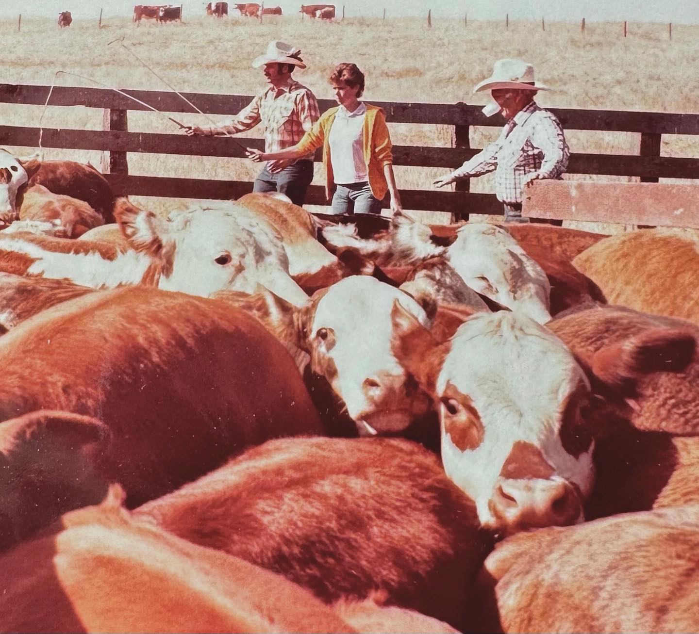 Dot Seven Ranch - History of the Dot Seven Ranch - part #4...