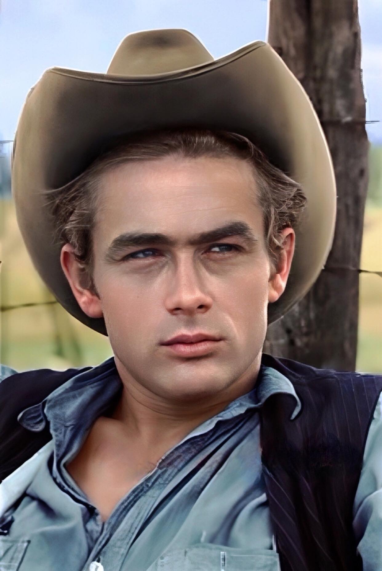 ジェームズ・ディーン 『24歳で世を去った伝説のスター』 1931年2月8日 