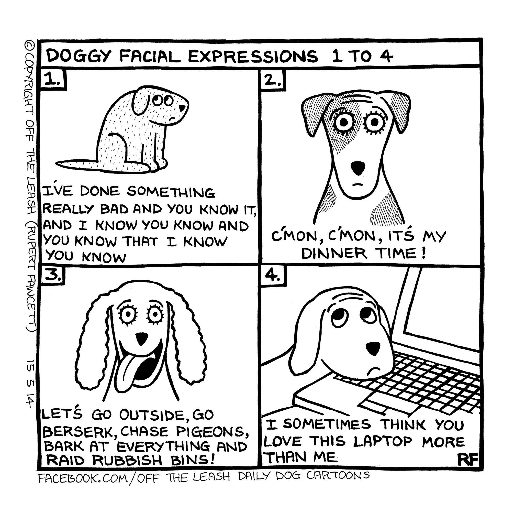 Off - Doggy Facial Expressions 1 to 4 Love to see photos of your dogs ...