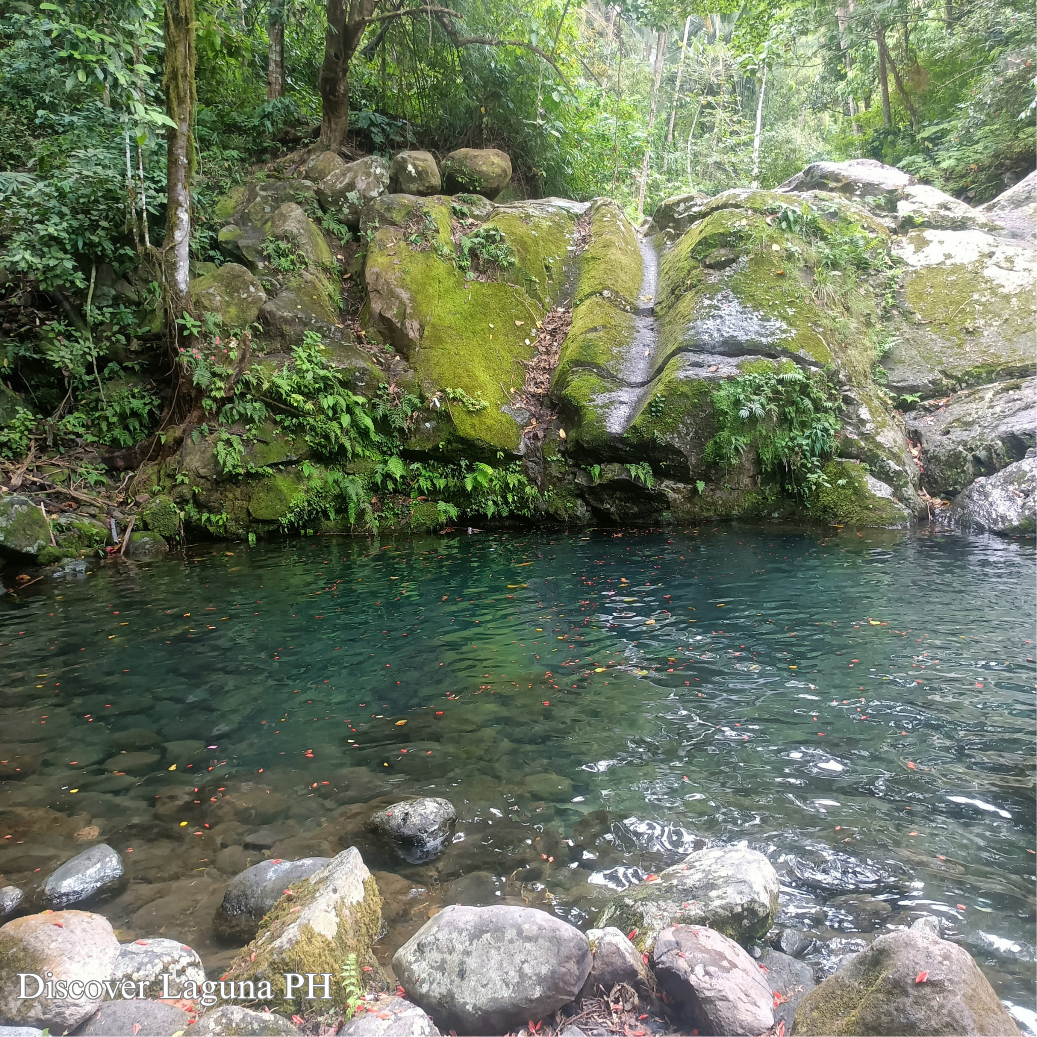 Pinamun-an Spring 🌿 Barangay Malinao,... - Discover Laguna PH | Facebook