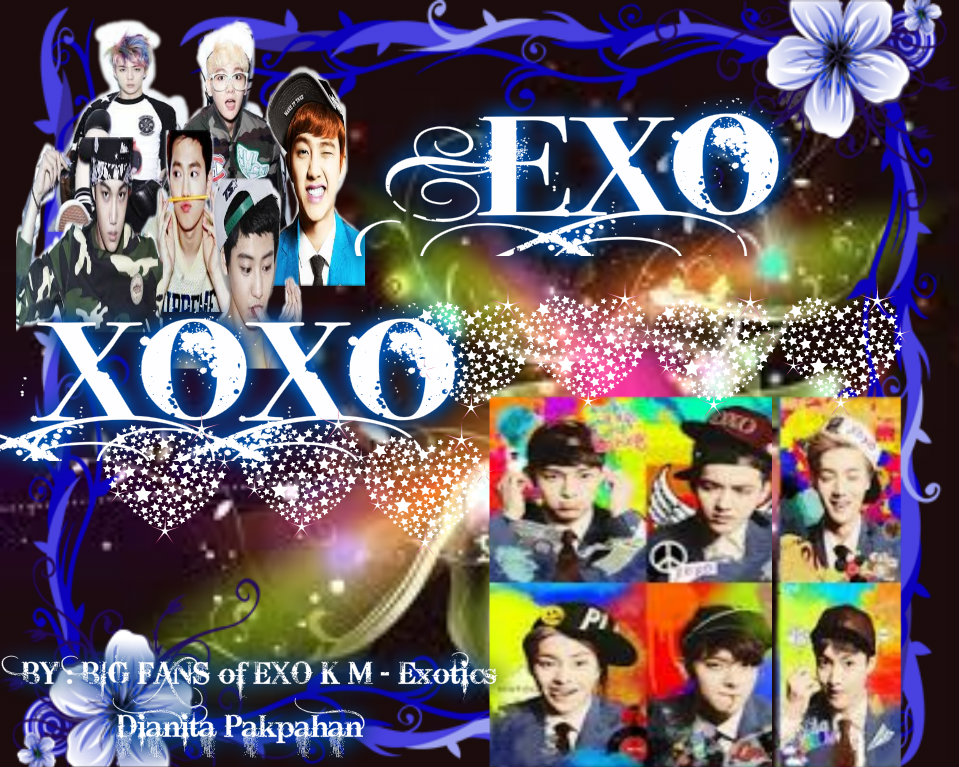 BIG FANS of EXO K M - Exotics