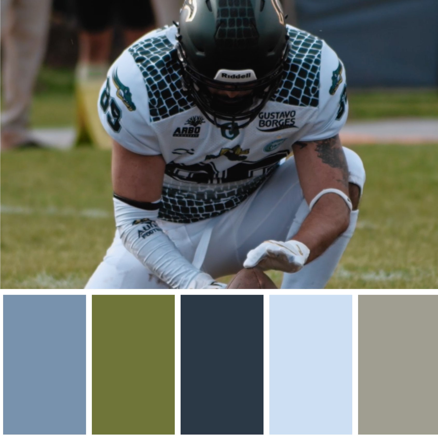 Fan Produções - Com o nosso Color Palette, você consegue identificar ...