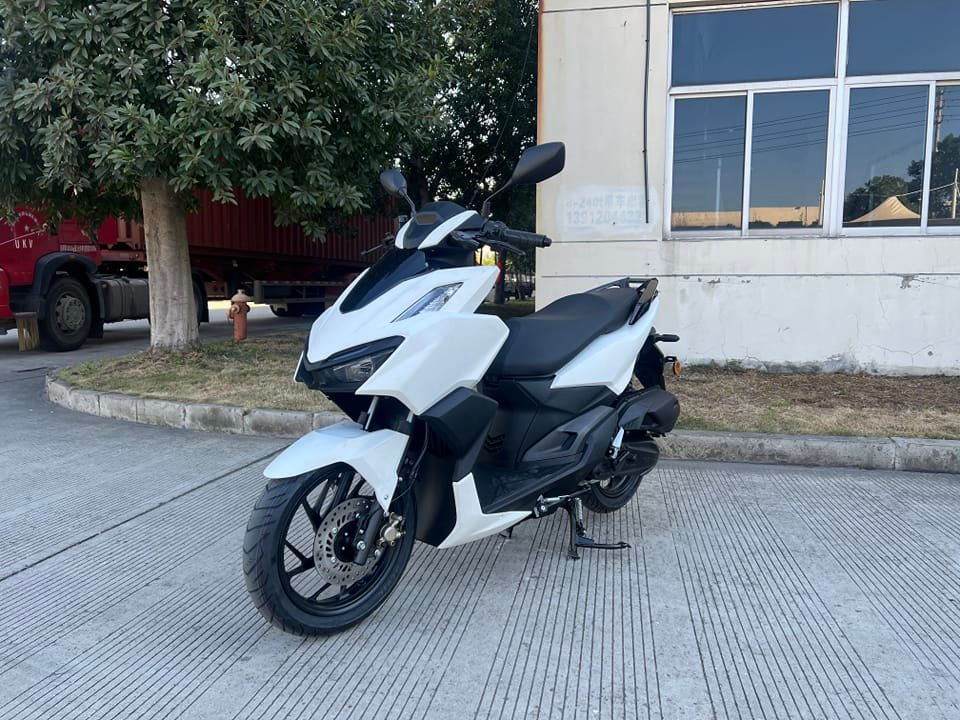 Cycles Promax
