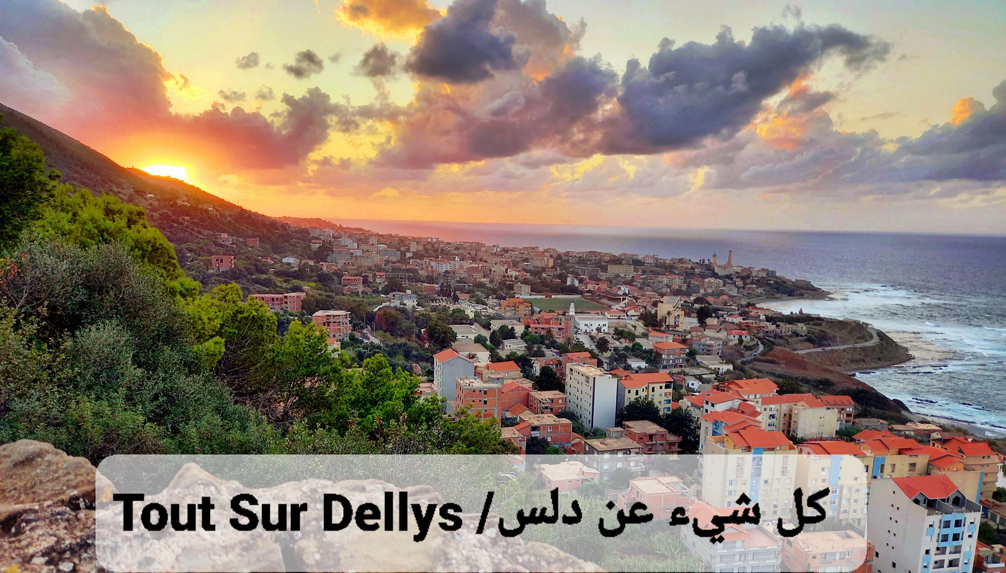 dellys-la-charmante