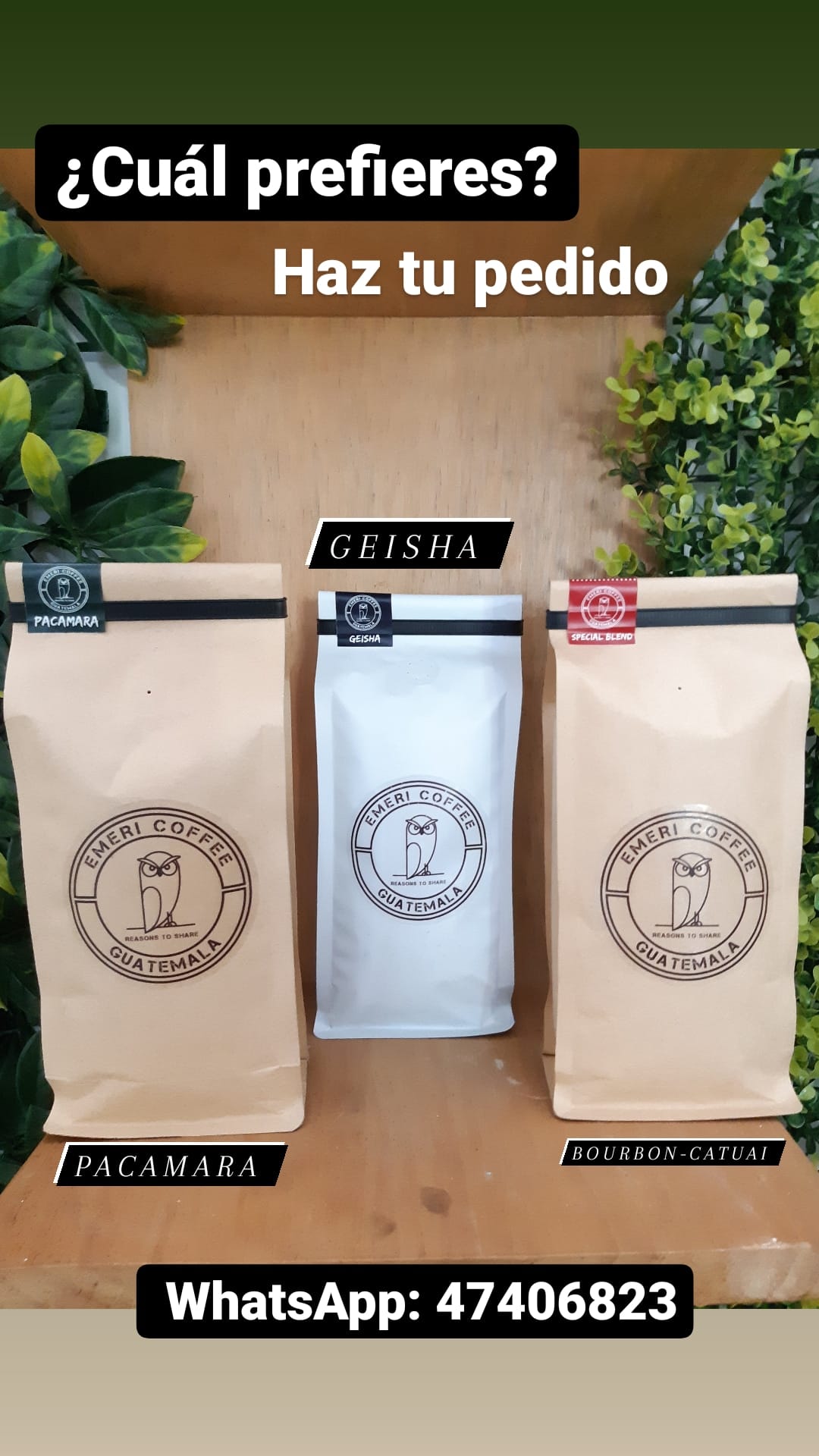 Emeri Coffee | Guatemala City