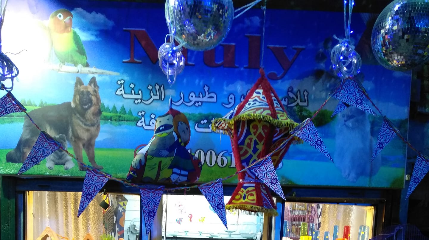 MULY
