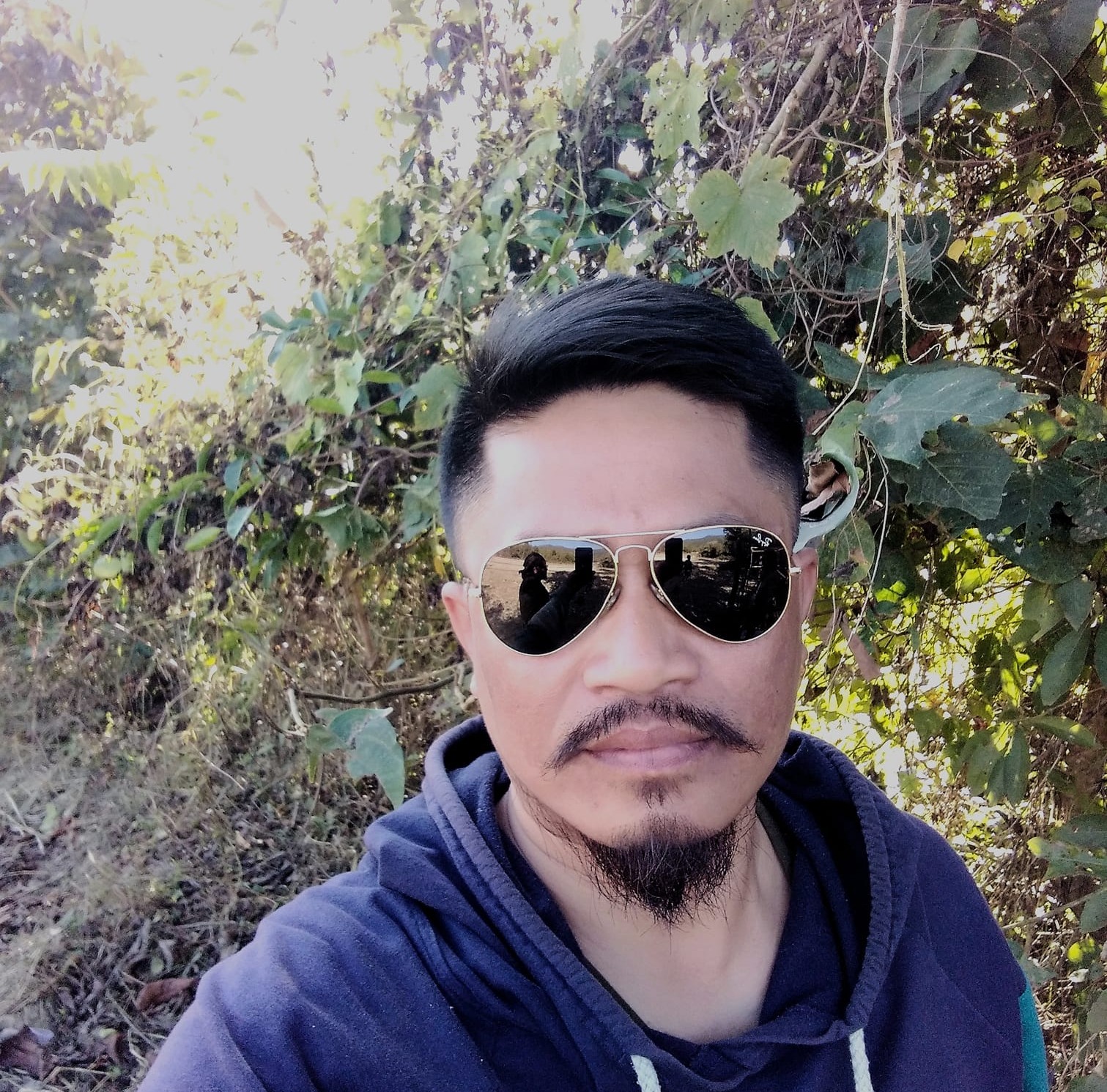 Fresh fruit, straight from the branch, what trees are growing in your ...
