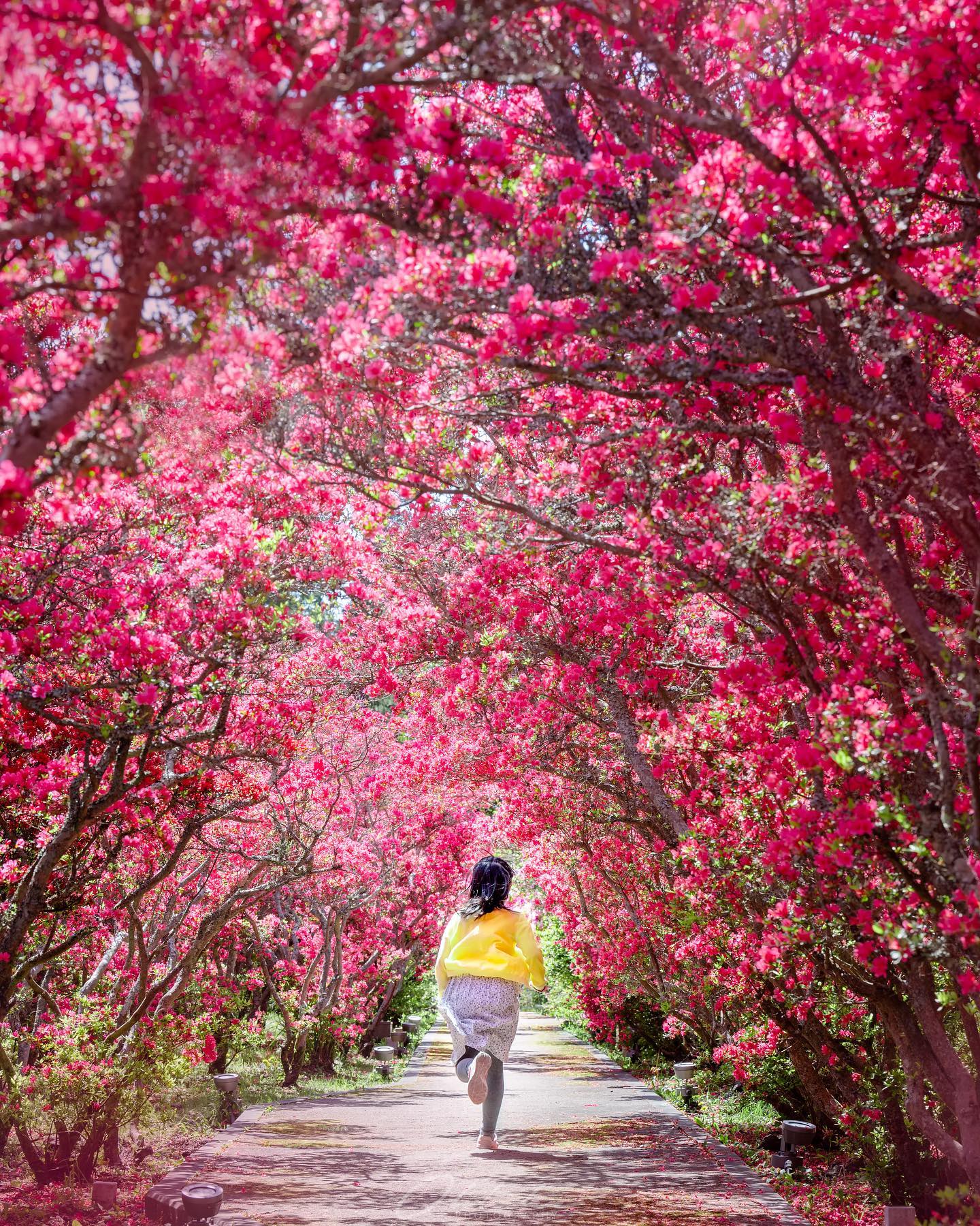 Komuroyama Park - Breathtaking Panoramas and a Spectacular Garden 