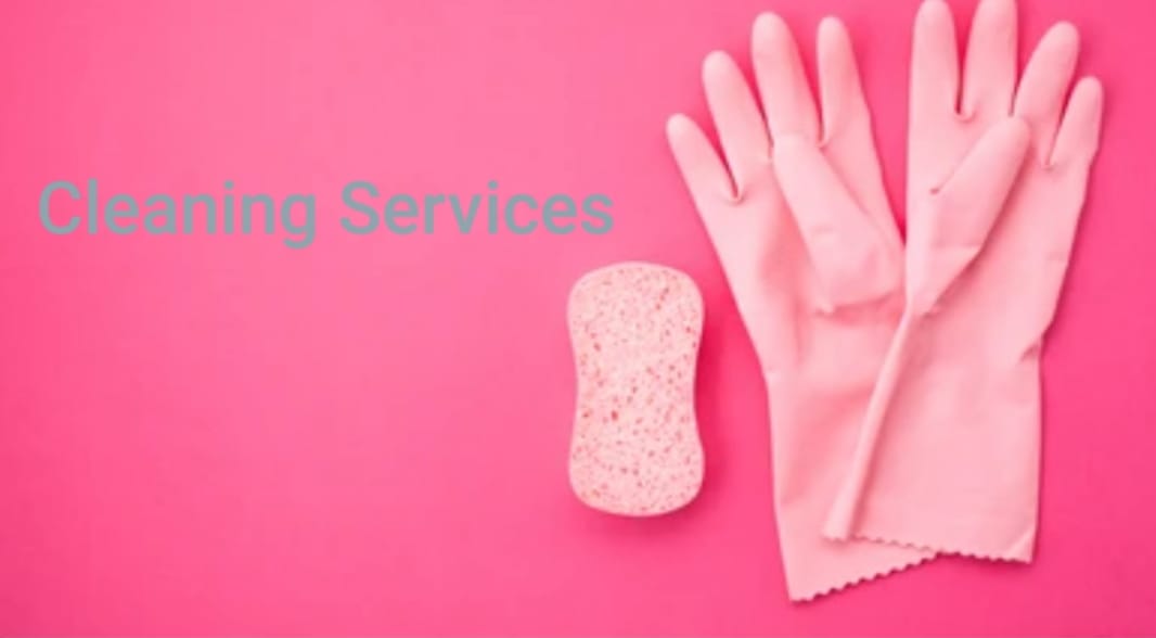 New View Cleaning Services