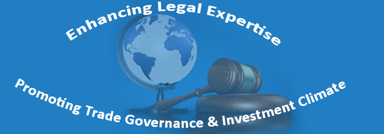 Centre for Trade and Investment Law & Policy