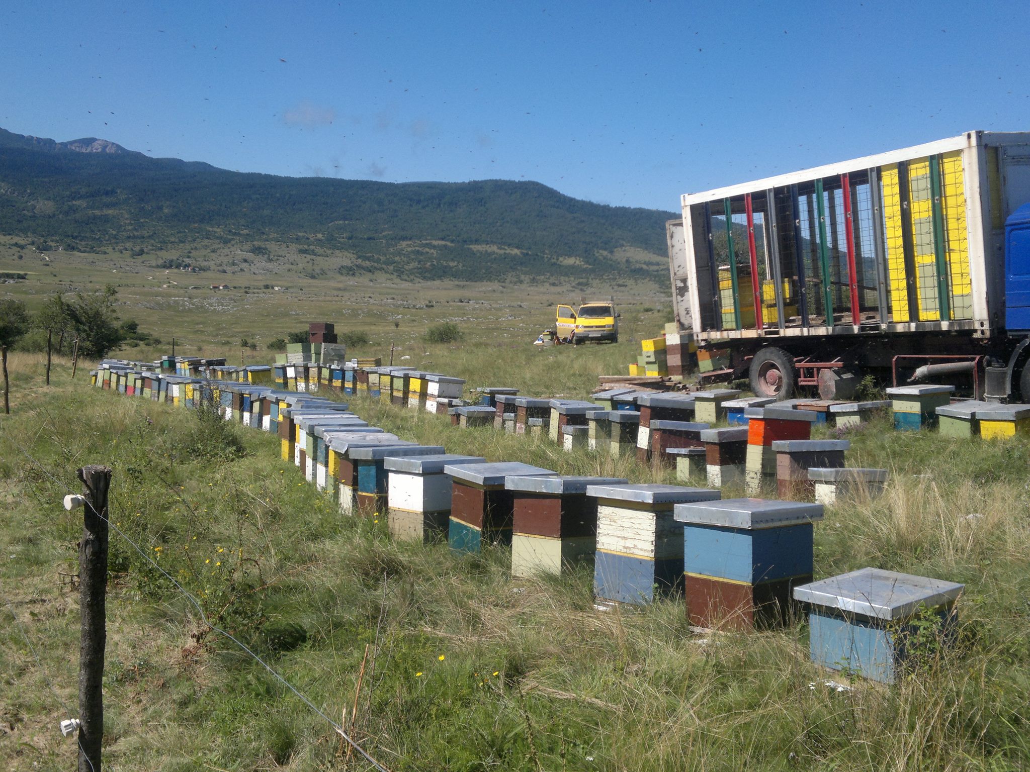 apibosnia.ba