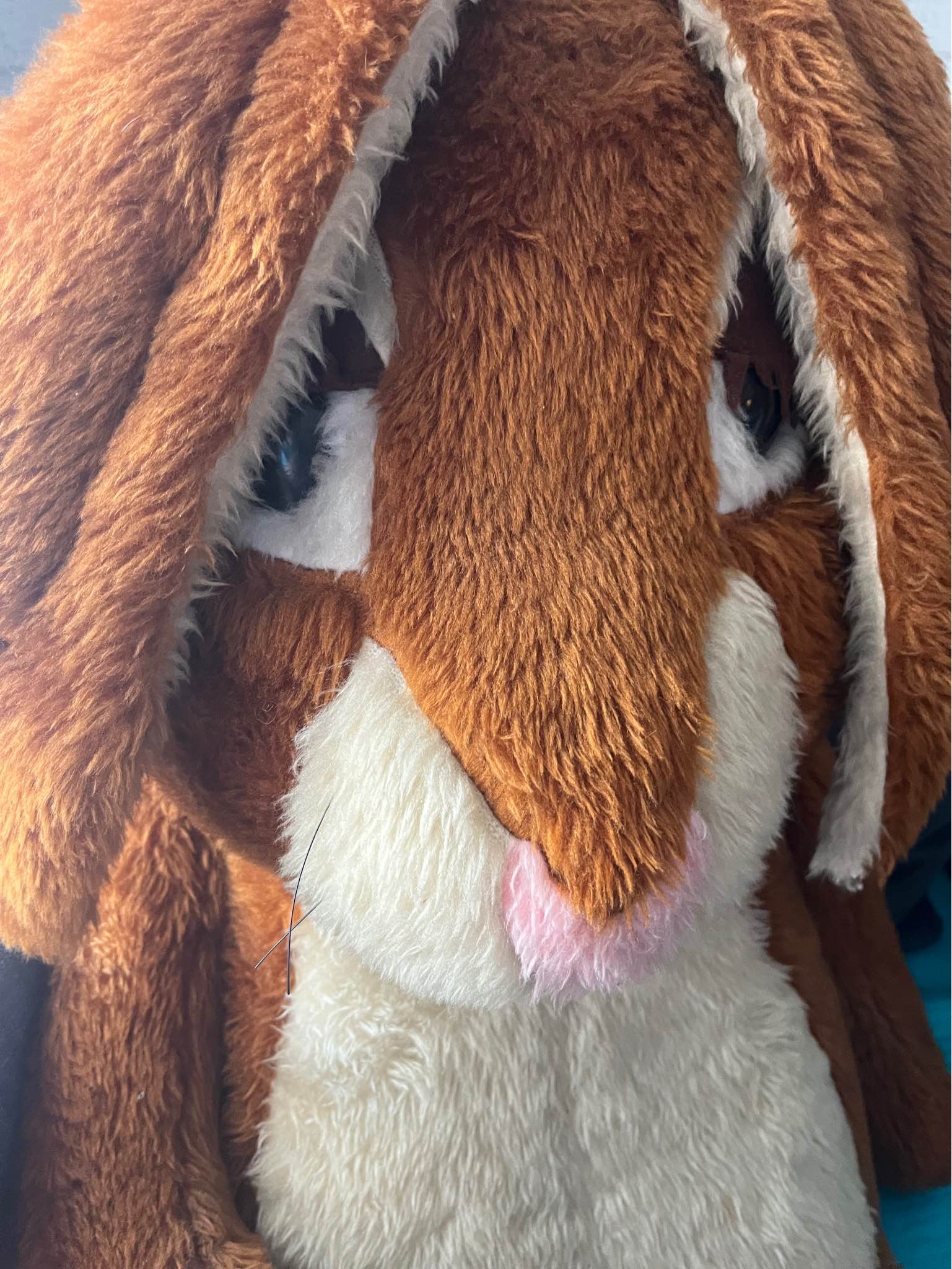 rare-cadbury-caramel-bunny-stuffed-animals-plush-toys-glasgow