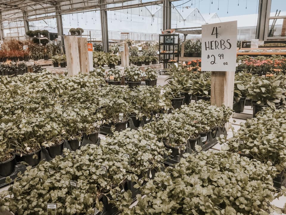 Rekker's Garden Centre Bowmanville, Ontario Facebook
