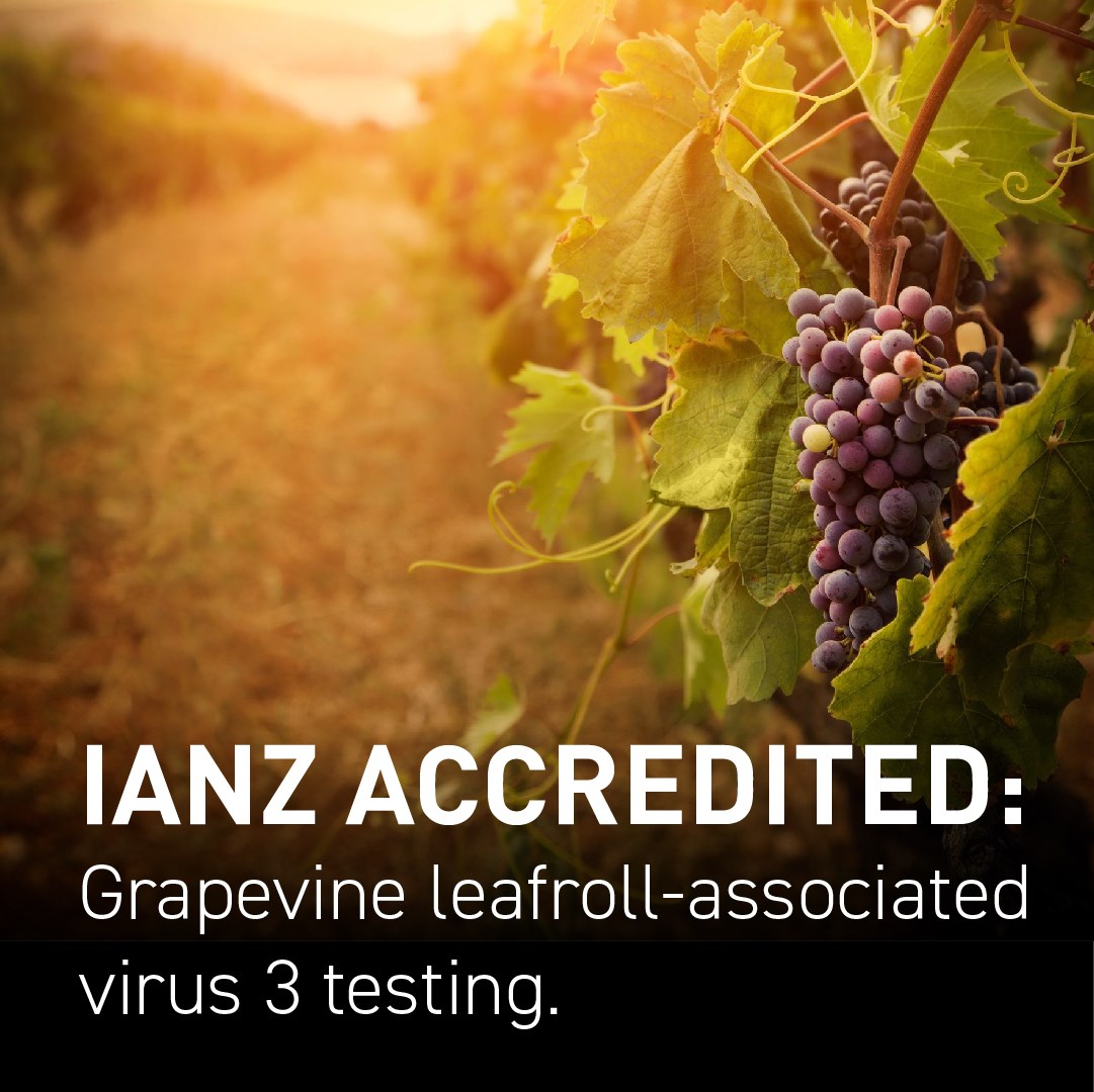 Hill - Did you know... we recently gained IANZ accreditation for ...