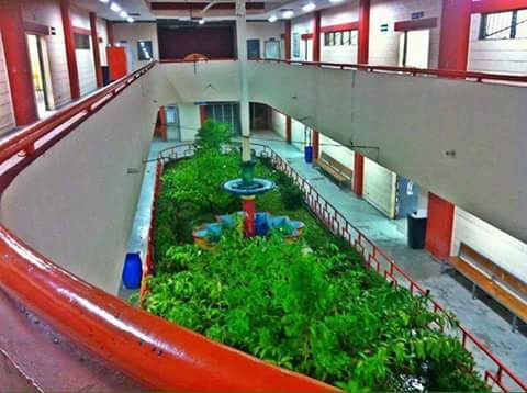 Gobierno Estudiantil INTAE | San Pedro Sula
