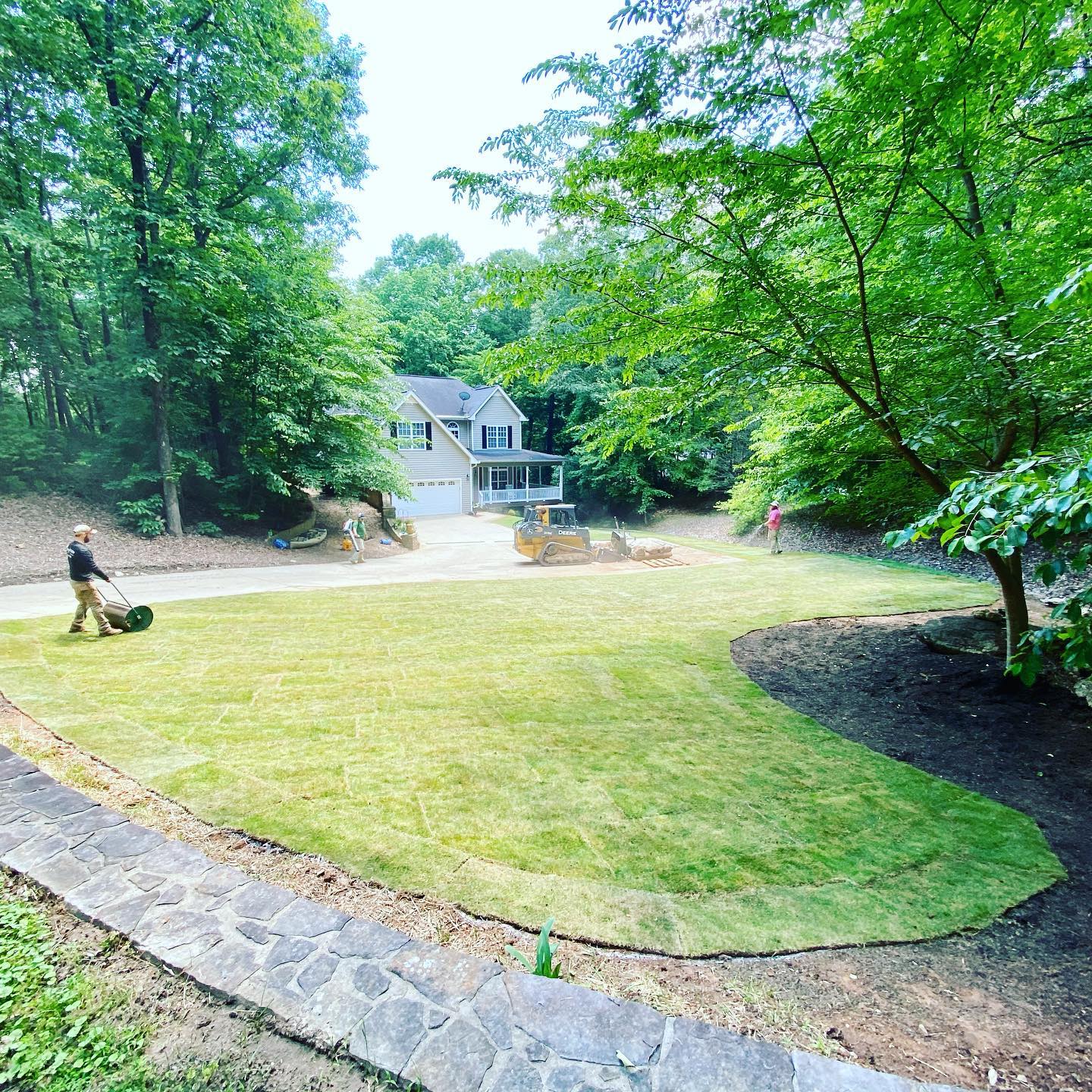 New Zeon Zoysia is lawn being... - Deep Roots Landscape, LLC