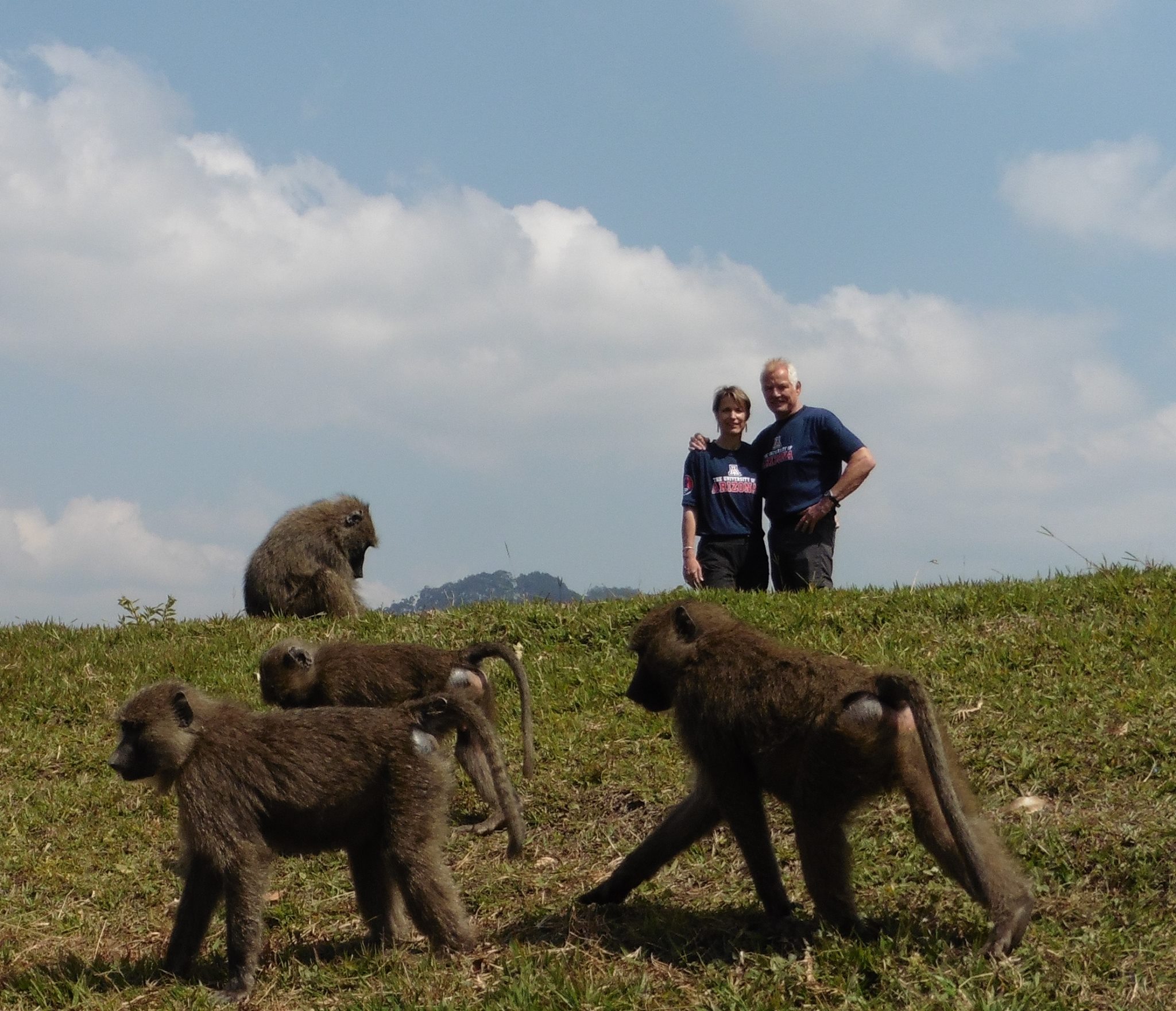 Primate Studies Field School
