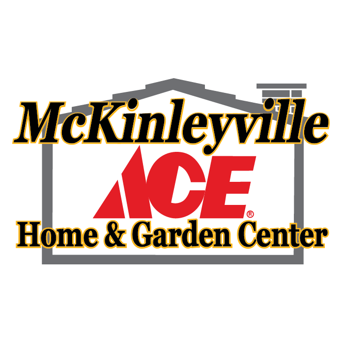 All Halloween decorations are now 25% off! Come get them while they're ...