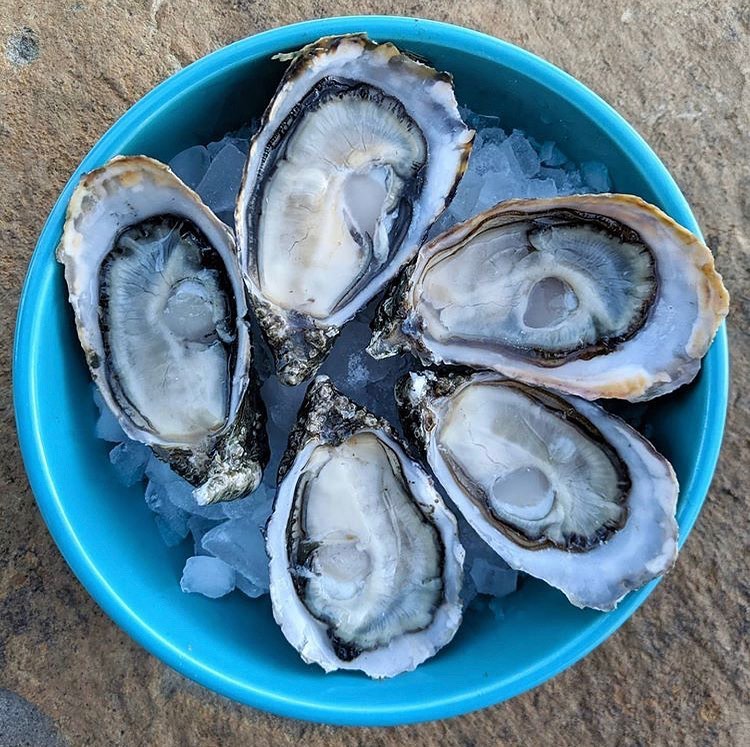 ¿Ya conoces nuestro sistema... - Taylor Shellfish ya en MX