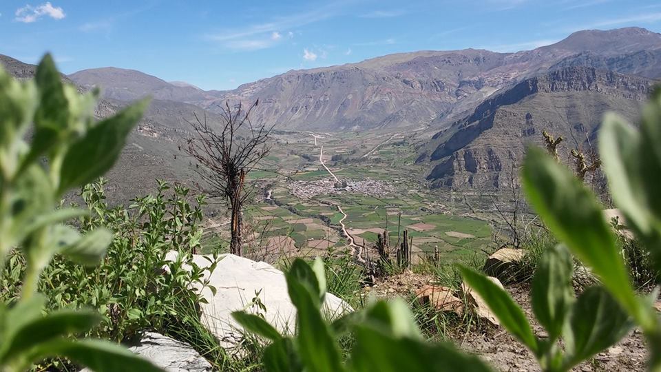 Distrito de Huambo