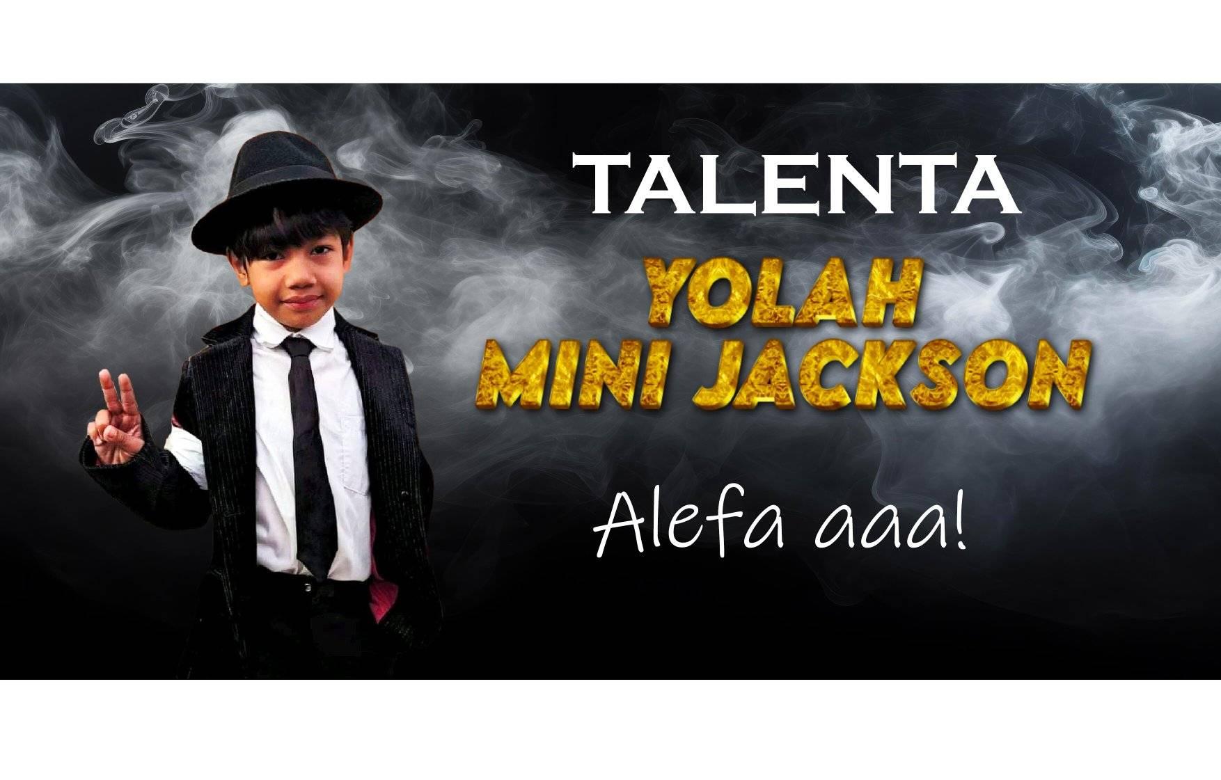 Mini jackson MDG