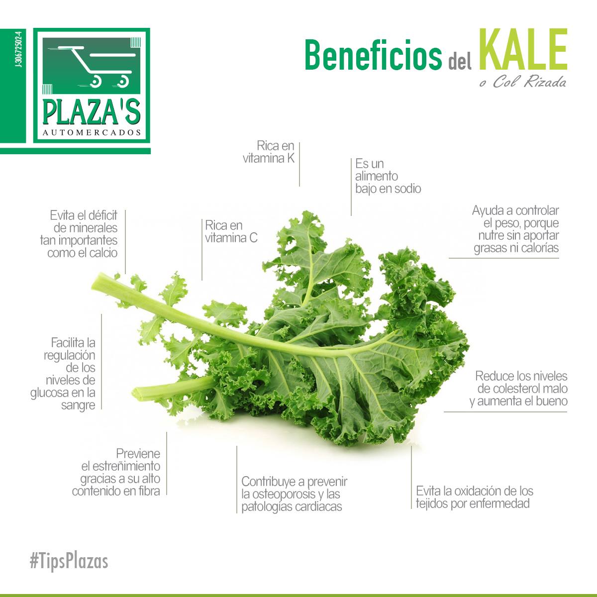 Automercados - Beneficios del Kale o Col Rizada Es una de las verduras ...