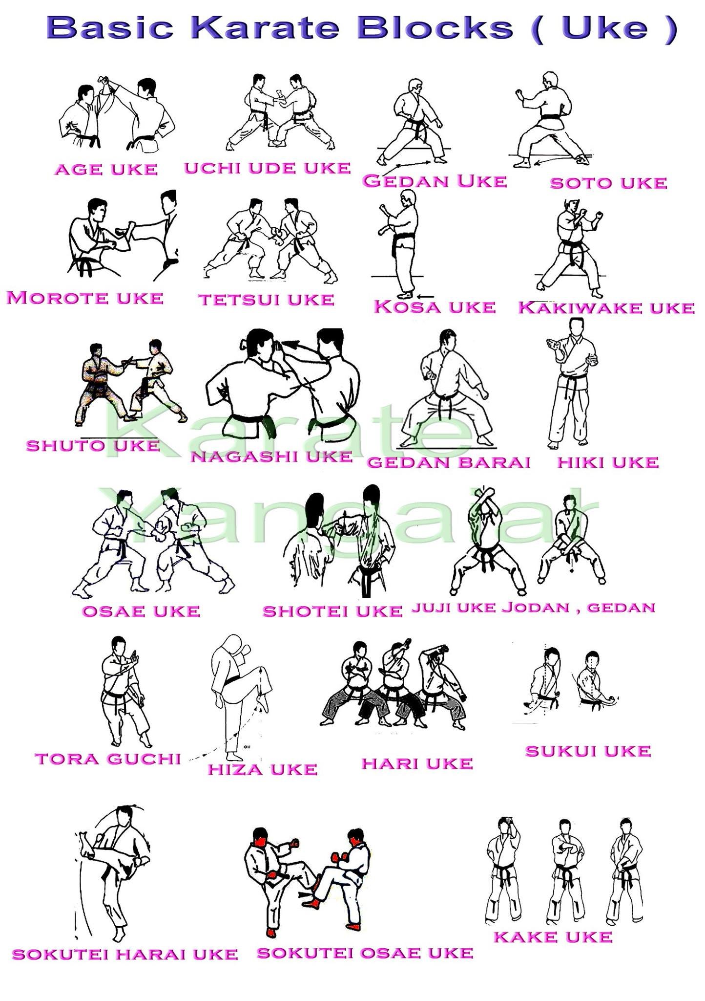 Goju Ryu Karate Stances